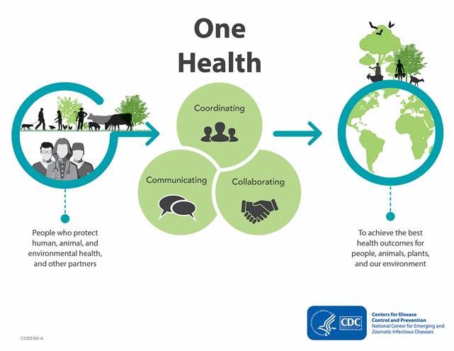 The One Health Initiative